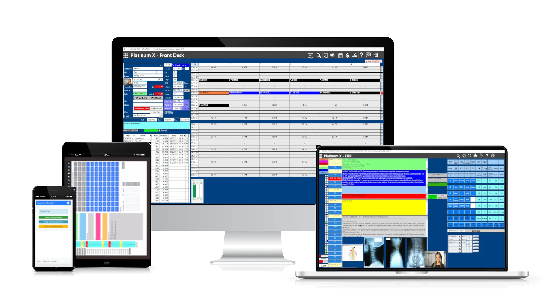 Platinum System interface