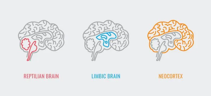 neuromarketing in healthcare neuromarketing in healthcare