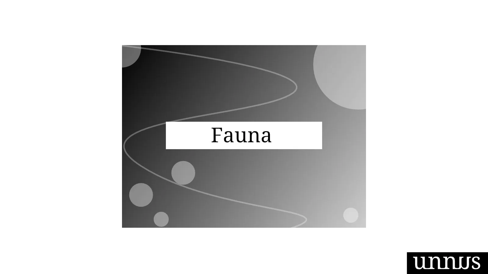 veterinary clinic names examples